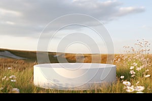 Abstract natural field scene with podium for product display and frosted glass background.