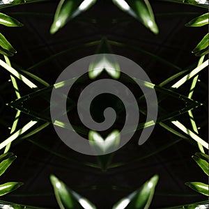 Abstract natural geometric background with repeating patterns. Sun spots on dark green leaves of tropical plant. Concept: