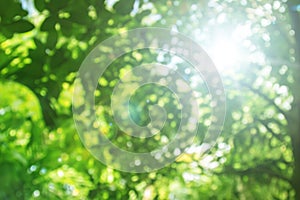 Abstract Natural green bright blurred with leaves of sunny summer forest background. Green bokeh element of design.