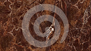 Brown marble natural pattern for background, mable collection for architector