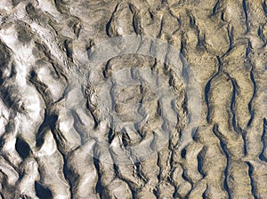 Abstract natural pattern background wet sand with footprints of hermit crab at beach