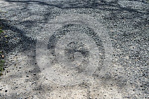 Abstract natural pattern of big tree branches shadow on light grey hard gravel concrete surface background floor on sunny day