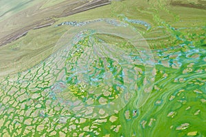 Abstract natural patterns on Ukrainian river Dnepr covered by cyanobacterias