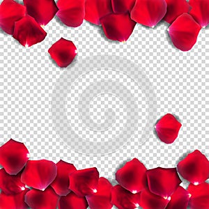 Abstract Natural Rose Petals on Transparent Background Realistic