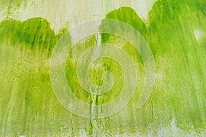 Abstract Natural Texture Background - Irregular Pattern created by Green Algae on Sandy Beach