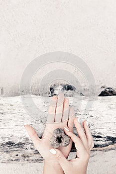Close up of woman hands holding ossicle on wooden background photo