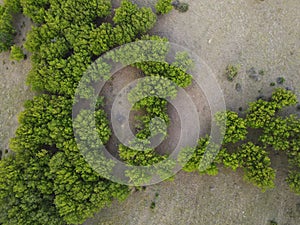 Abstract nature from above