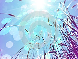 Abstract nature background