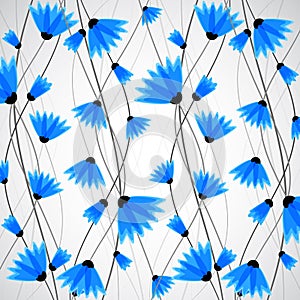 Abstract nature background. Blue cornflowers.
