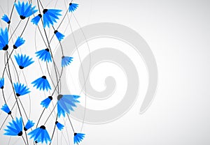 Abstract nature background. Blue cornflowers.