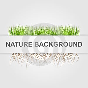 Abstract nature background. Green grass.