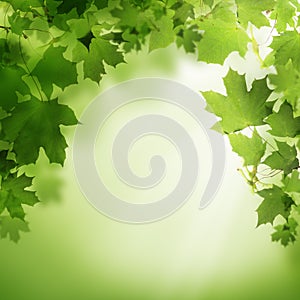 Abstract nature background