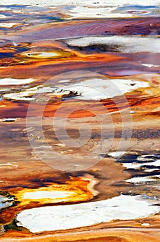 Abstract nature background. Texture of Porcelain Basin in Yellowstone national park, USA