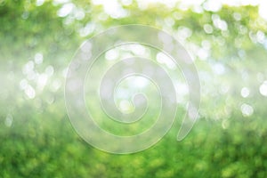 Abstract nature blur background
