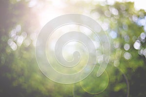 Abstract nature blur background and lens flare