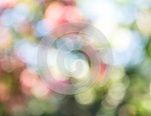 Abstract nature bokeh background