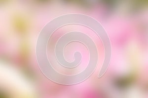 Abstract nature color mix blur backgrund, color pink white green mix background