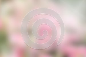 Abstract nature color mix blur backgrund, color pink white green mix background