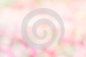 Abstract nature colorful blur background color pink green yello