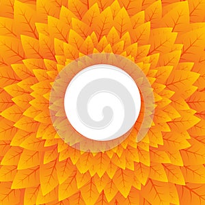 Abstract nature orange circular background