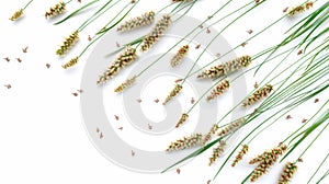 Abstract Nature Pattern with Grass and Flowers, Generative AI