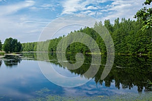 Village pond nature