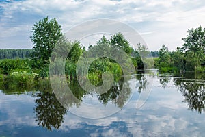 Village pond nature