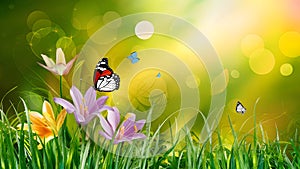 Abstract nature spring background with flower and butterfly art