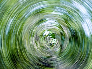 Abstract nature twirl. photo