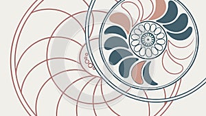 Abstract Nautilus Shell Spiral Geometric Pattern Design, vector design Generative AI