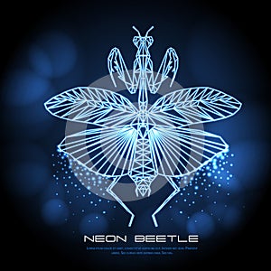 Abstract neon polygonal triangle praying mantis. Bug neon sign. Entomological  illustration