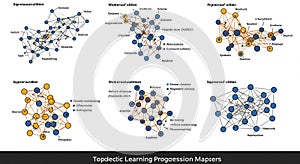 Abstract network diagrams represent various interconnected systems with nodes and