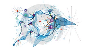 Abstract Network of Interconnected Nodes