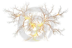 Abstract Neural Network Visualization. Conceptual Representation Of Brain Activity And Connectivity Isolated On