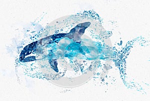 Abstract ocean whale watercolor background for textures or backgrounds