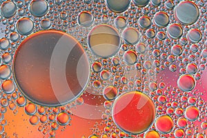Abstract oil bubbles colored background