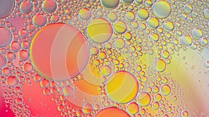 Abstract oil bubbles colored background