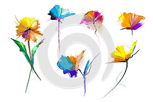 Abstract oil painting flower and leaf. Illustration isolated of spring, summer flowers paint design over white background.