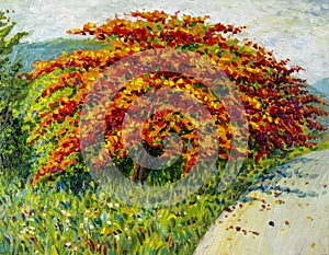 Abstract oil painting landscape red orange color of Peacock flowers