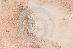 Abstract Old Ancient Pattern Weathered Outdated Wall Surface Mold Texture Background