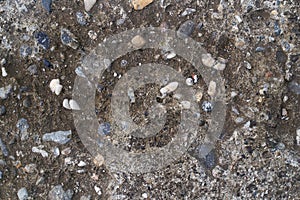 Abstract old beton texture wall outdoor. Textured Grunge Background.