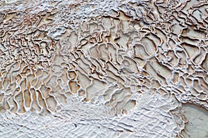 abstract in old calcium bath and travertine water