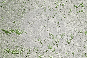 Abstract old green limestone like stucco texture for any purposes