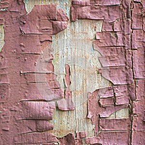 Abstract old grunge paint peeling wooden plank.