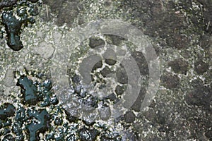 Rusted cement concrete surface background