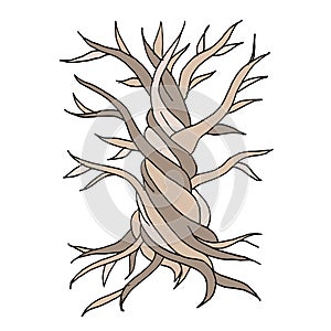 Abstract old tree with roots, zen doodle