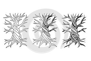 Abstract old tree with roots, zen doodle for your design