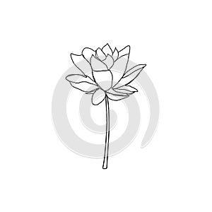 Abstract one line flower logo. Simple peony drawing minimalist botanical art illustration  vector continuous line sketch