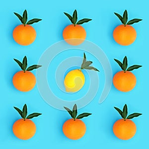 Abstract Orange and Lemon Citrus Fruit Odd One Out Concept