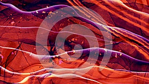 Abstract orange and purple moving lace effect with textures.